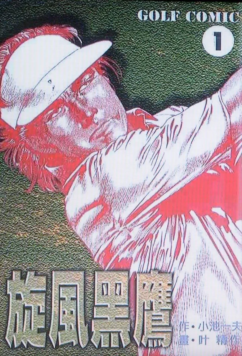 旋风黑鹰 [1~5卷 完结]