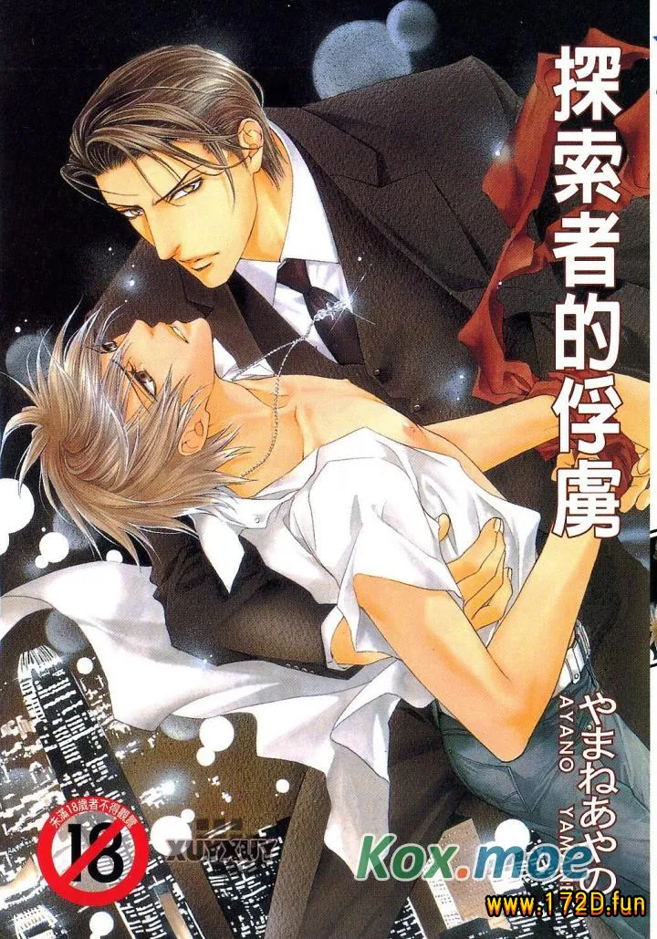 探索者系列 [共18卷+番外篇 连载]