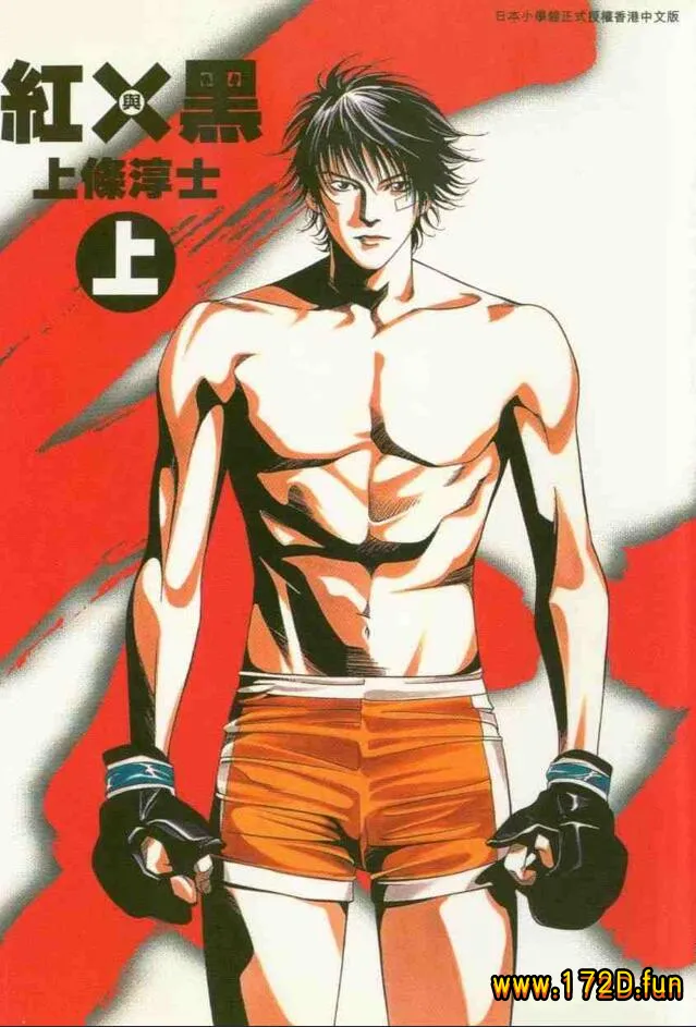 红与黑 [共2卷 完结]