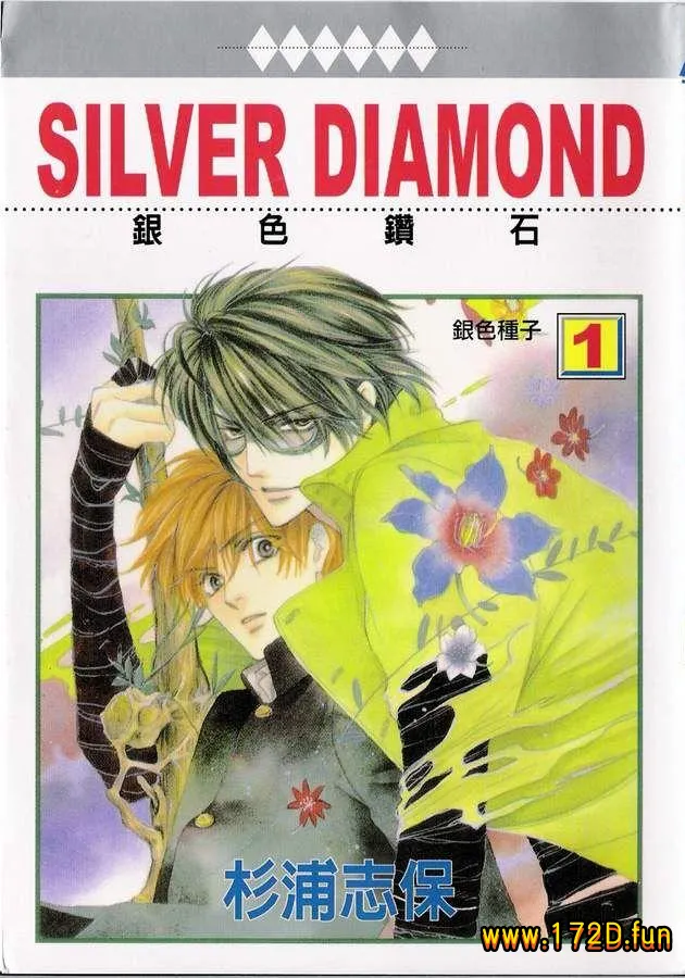 银色钻石.webp 银色钻石.webp