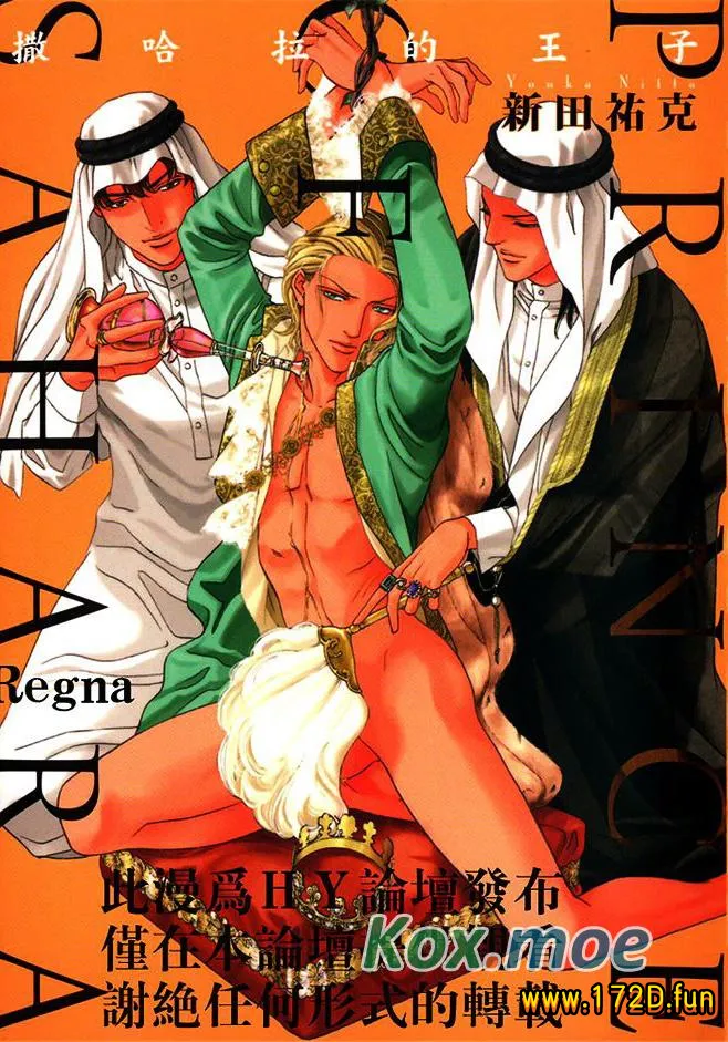 撒哈拉的王子.webp 撒哈拉的王子.webp