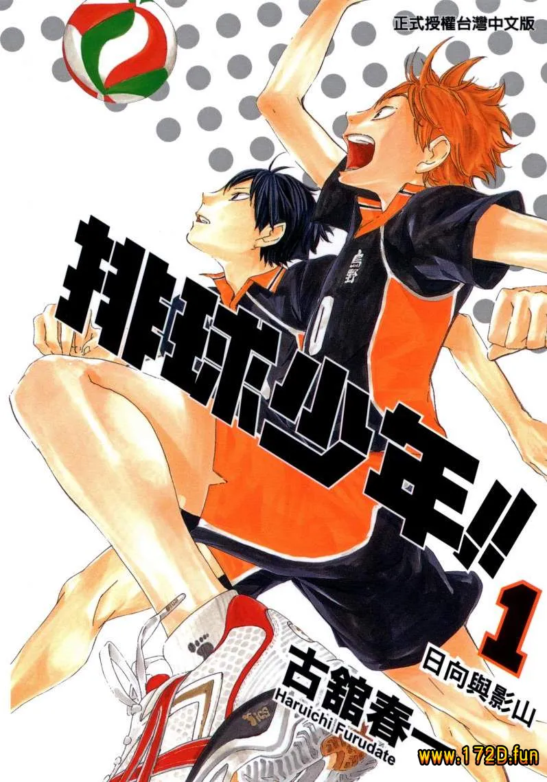 排球少年 [1~45卷 完结]