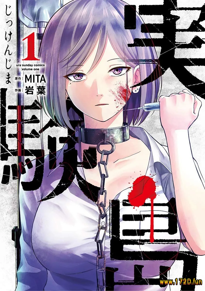 实验岛.webp 实验岛.webp