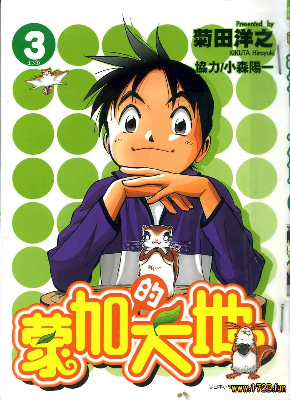 蒙加的大地.webp 蒙加的大地.webp