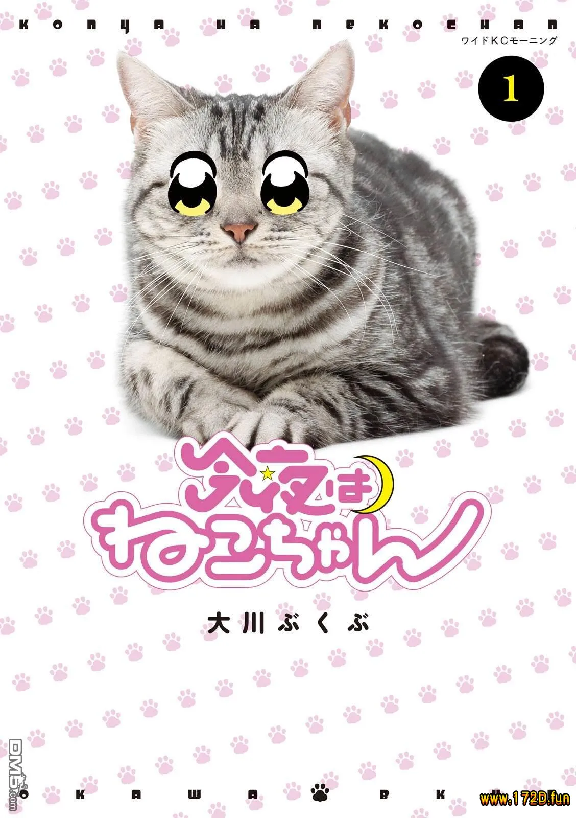 今夜是猫咪酱.webp 今夜是猫咪酱.webp