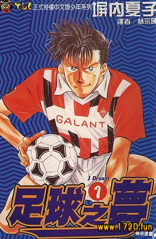 足球之梦 [1~14卷 完结]