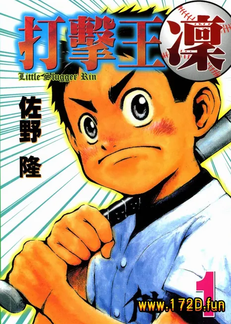 打击王凛 [1~17卷 完结]