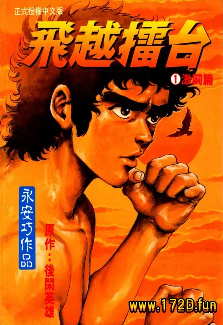 飞越擂台 [共2卷 完结]