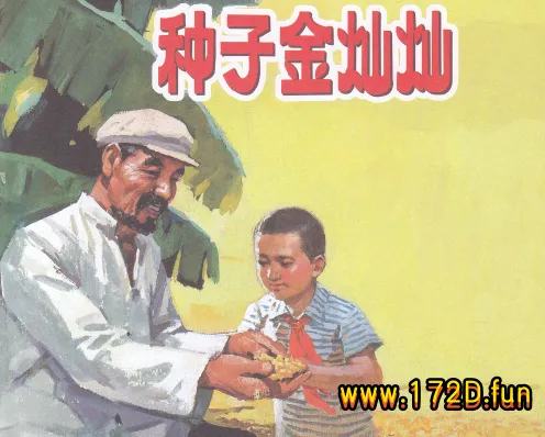 彩绘连环画-种子金灿灿.webp