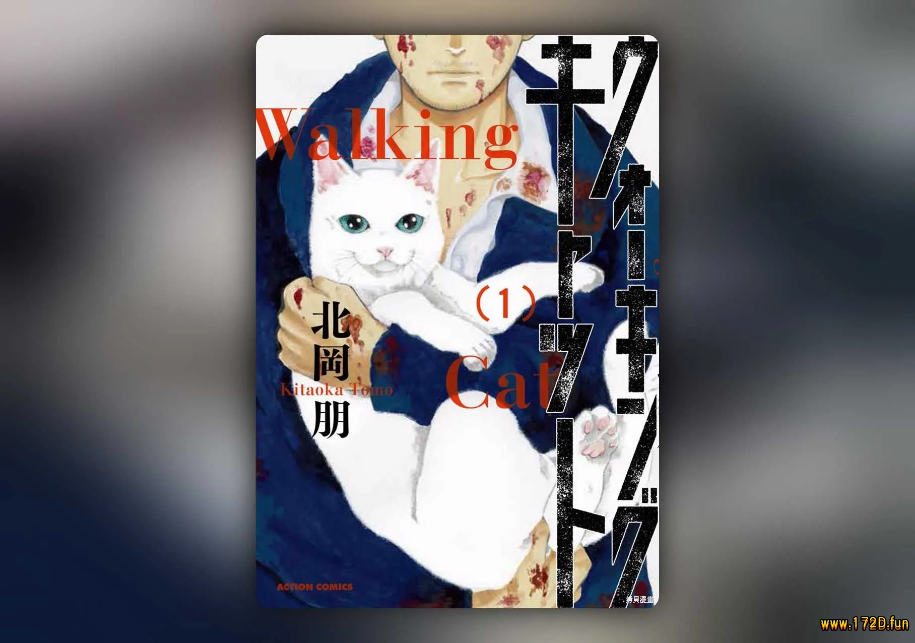 与猫随行 [1~40话 完结]