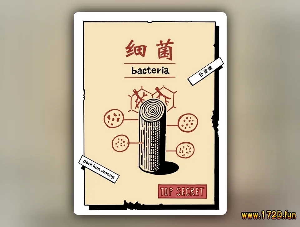 细菌 [全一卷 完结]