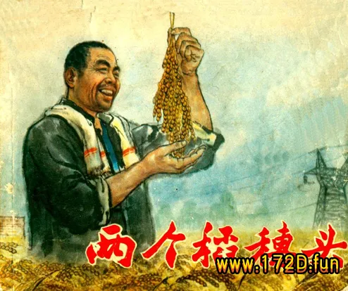 两个稻穗头 修图版.webp