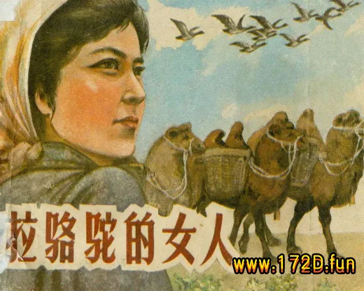 拉骆驼的女人(扫描版).webp