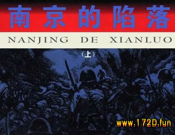 南京的陷落.webp