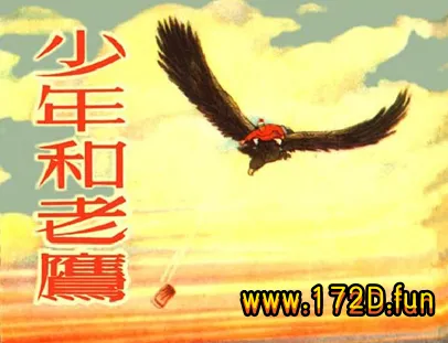 少年和老鹰.webp