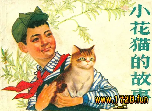 小花猫的故事.webp