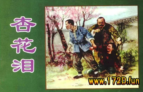 杏花泪.webp